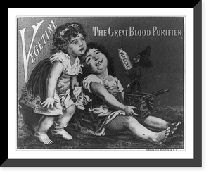 Vintage Photo Print - Vegetine - the great blood purifier