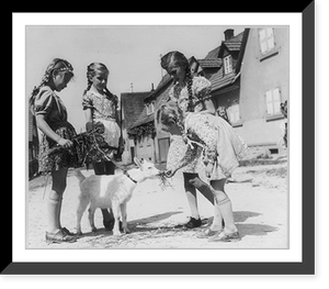 Four girls feeding young goat, Antique Poster