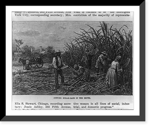 Slaves Cutting sugar cane in the South, Antique Poster