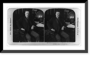 Historic Framed Print, President [Theodore] Roosevelt at his desk in the White House, Washington, D.C.,  17-7/8" x 21-7/8"