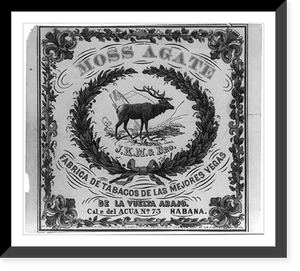 Moss Agate, Antique Wall Art