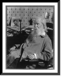 Historic Framed Print, Walt Whitman, 1819-1892 - 9,  17-7/8" x 21-7/8"