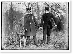 Police dogs, policeman, and thief, New York City, Antique Poster
