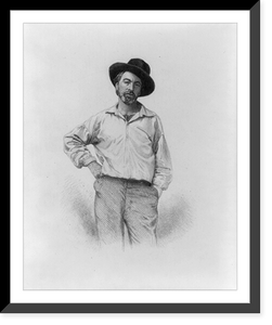 Historic Framed Print, Walt Whitman, 1819-1892 - 15,  17-7/8" x 21-7/8"