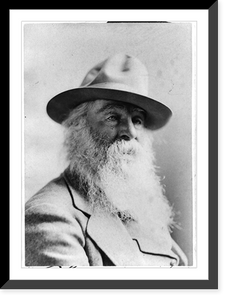 Historic Framed Print, Walt Whitman, 1819-1892 - 21,  17-7/8" x 21-7/8"