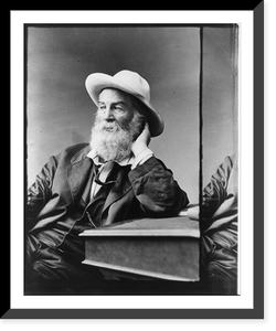 Walt Whitman, 1819-1892 - 26, Vintage Wall Art