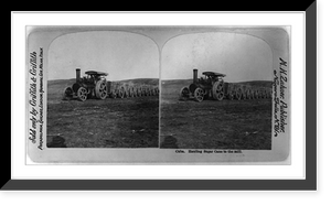 Historic Framed Print, Cuba - Hauling sugar cane to the mill,  17-7/8" x 21-7/8"