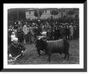 Army and Navy baseball game, Rome, Italy: 2 sailors with mascot, a goat, in front of crowd of spectators, Vintage Print