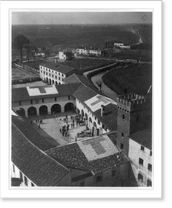 Antique Photo Print - American Red Cross ambulances at Italian Front
