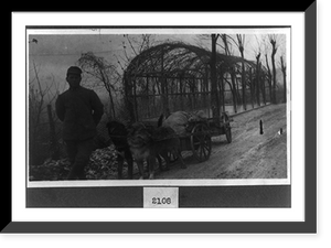 Historic Framed Print, Dogs of war,  17-7/8" x 21-7/8"