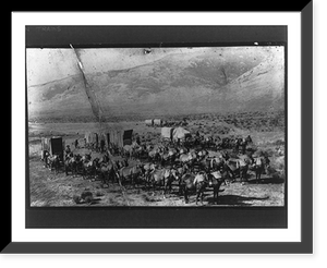 Fourteen Mule Jerk Line Freight Teams, Utah to Idaho, Antique Wall Art