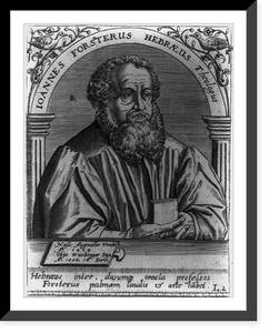 Historic Framed Print, Johann Forster, 1495-1556,  17-7/8" x 21-7/8"