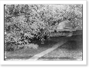 Antique Photo Print - Pinhole landscape - Vintage Home Decor Print