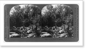 Antique Photo Print - In the forests of Mindanao, P.I