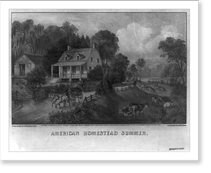 Black & White Photo - American homestead summer - Vintage Wall Art Gift