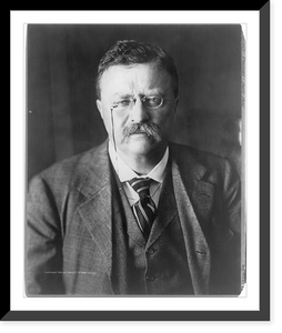Historic Framed Print, Theodore Roosevelt, 1858-1919,  17-7/8" x 21-7/8"