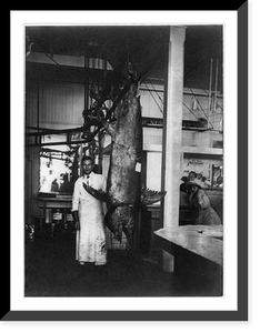 Giant swordfish caught at Los Angeles, ca. 1910, Antique Wall Art