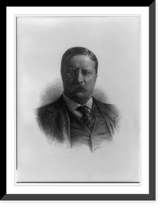 Historic Framed Print, Theodore Roosevelt, Pres. U.S., 1858-1919 - 7,  17-7/8" x 21-7/8"