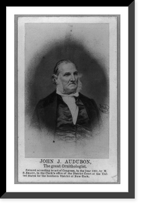 Historic Framed Print, [John James Audubon, half-length portrait, facing right],  17-7/8" x 21-7/8"