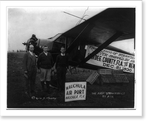 Vintage Americana Print - Wauchula, Florida - The first strawberries