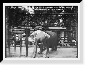 Historic Framed Print, Central Park - man with head in hippo's mouth,  17-7/8" x 21-7/8"