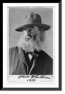 Historic Framed Print, [Walt Whitman, head-and-shoulders portrait, facing left, wearing hat],  17-7/8" x 21-7/8"