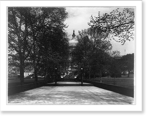 Vintage Building Photo - U.S. Capitol - Entrance from Maryland Avenue