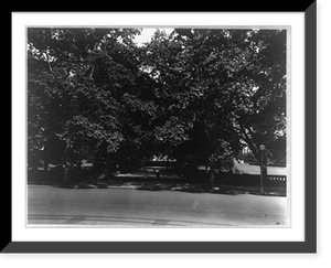 Historic Framed Print, U.S. Capitol: Entrance from west,  17-7/8" x 21-7/8"