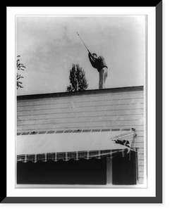 Loftyshooting Classic, Antique Wall Art