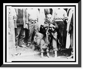 In the public market at Athens, Greece, the animals are killed while you wait Classic, Vintage Print
