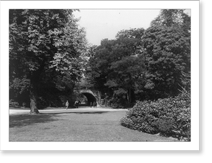 Antique Scenic Print - New York City - A view in Prospect Park, Brooklyn