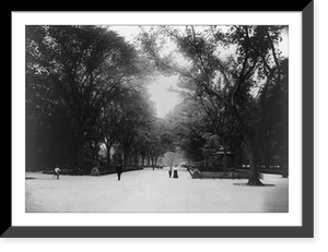Historic Framed Print, The Mall, Central Park, New York City,  17-7/8" x 21-7/8"