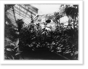 Antique Architecture - White House - Conservatory