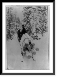 Vintage Americana Print - Man hauling spruce logs on horse-drawn sled