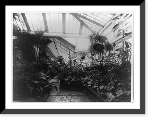 Historic Architecture - White House - Conservatory