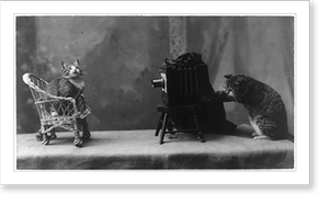 Black & White Photo - In the Rogue's Gallery - Vintage Home Decor Print