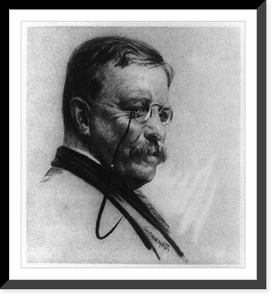 Historic Framed Print, [Theodore Roosevelt, head-and-shoulders portrait, facing right].Wm. Oberhardt.,  17-7/8" x 21-7/8"