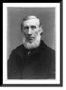 Historic Framed Print, [Professor John Tyndall, half-length portrait, facing left],  17-7/8" x 21-7/8"