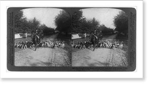 Historic Landscape - New York City - Fox hounds of the Meadowbrook Club