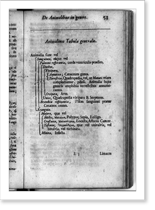 Vintage Americana Print - Animalium tabula generalis