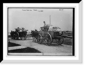 Historic Framed Print, Horse drawn wagons of Field Hospital train, U.S. Army,  17-7/8" x 21-7/8"