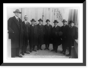 New members of the House 66th Congress Classic, Antique Poster