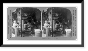 Filling and sewing bags of granulated sugar, New York, Antique Wall Art