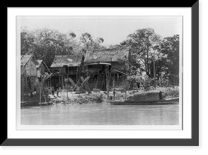 Fisherman holding up fish and large crayfish(?) just taken from the trap on the Tonl&eacute; Sap in the basin of the lower Mekong River, Cambodia, Antique Print