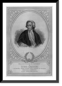 Nella inaugurazione del monumento a Luigi Galvani, l'Accademia delle Scieinze dell'Istituto di Bologna.F. Spagnoli, dis. ; A. Marchi, inc, Antique Print