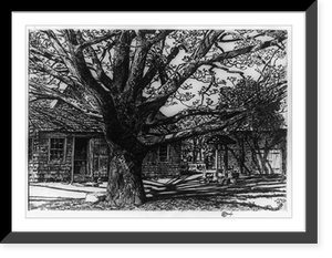 Historic Framed Print, [Oak and old house in spring],  17-7/8" x 21-7/8"