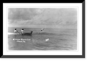 A High dive by a silver king.Koons, photo. Classic, Antique Print