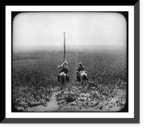 Rear view of Theodore Roosevelt and another man carrying guns on horses in Africa, Vintage Print