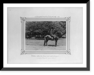 Turhan, a dark bay Arabian and Hungarian hybrid, born in the Imperial Stud Farm.Constantinople, Abdullah Fr&egrave;res, Antique Poster