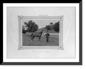 Historic Framed Print, [Gonca-Al, Arabian mare].Constantinople, Abdullah Fr&egrave;res.,  17-7/8" x 21-7/8"